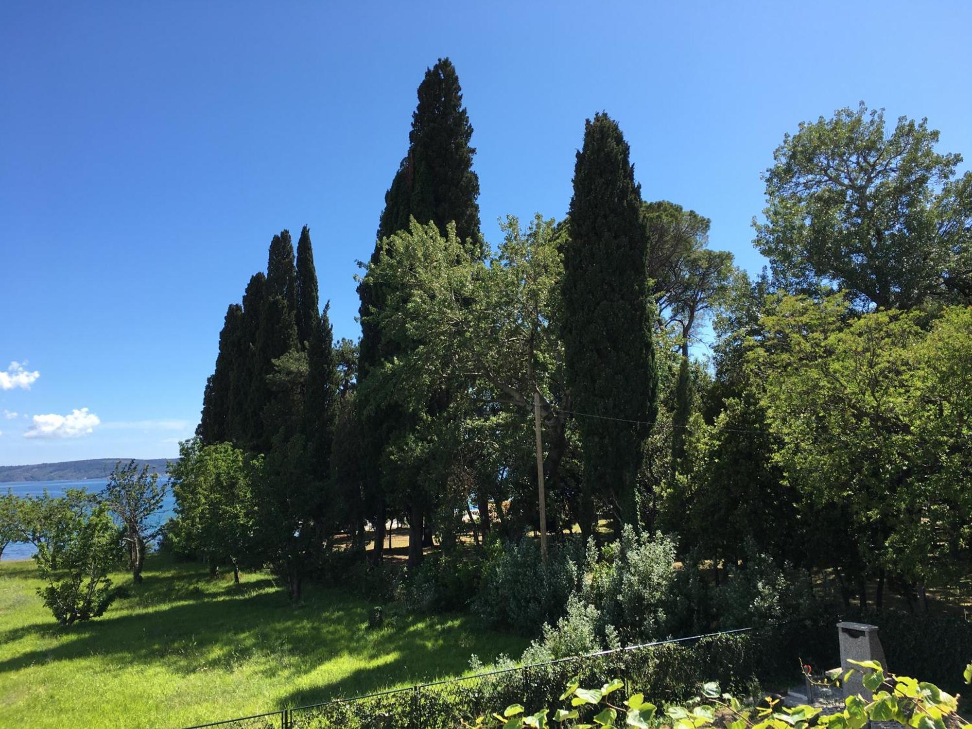 Appartamento Palmaja Kaštela Esterno foto